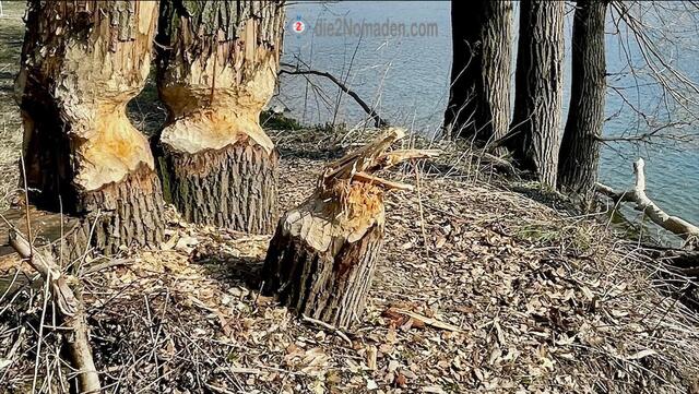 Foto: die2Nomaden.com