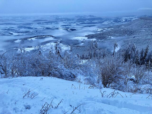 Foto: Christian Ehetreiber