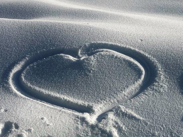 Foto: Christian Ehetreiber