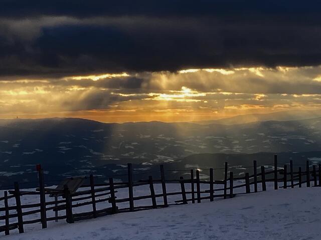 Foto: Christian Ehetreiber