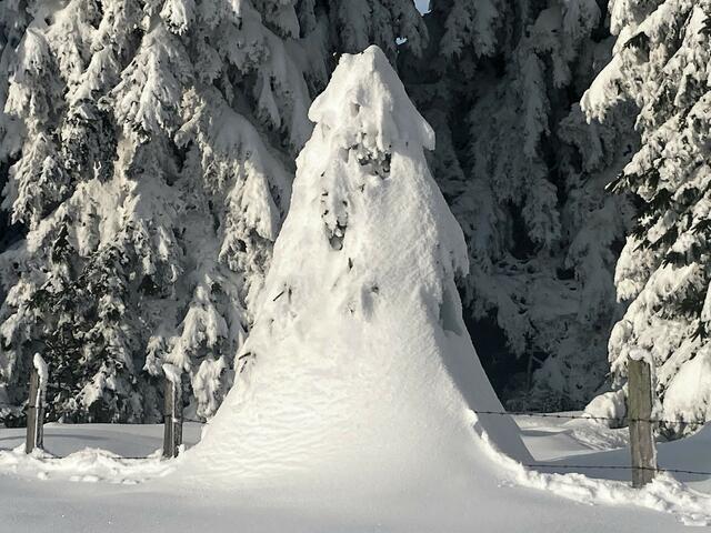 Foto: Christian Ehetreiber