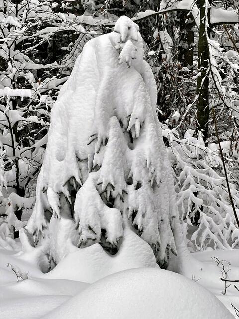 Foto: Christian Ehetreiber