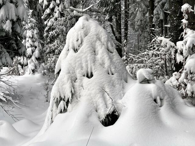 Foto: Christian Ehetreiber