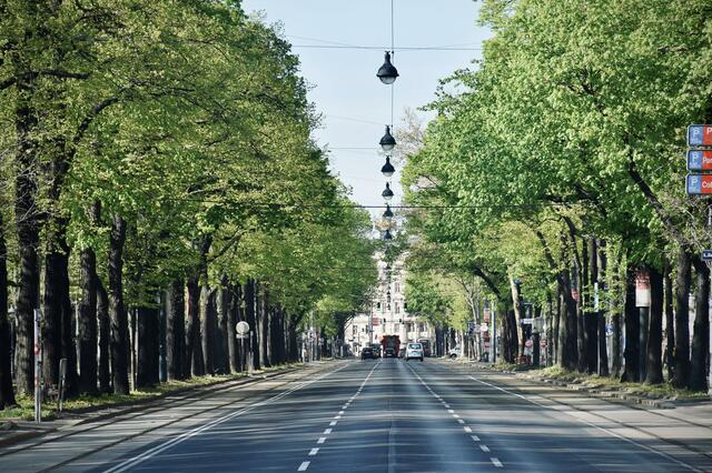 Im Vorjahr erreichte der Anteil der SUVs an den Neuwagen in der Bundeshauptstadt 43 Prozent – ein Höchststand. In Zahlen: 17.163 der 39.478 neu zugelassenen Pkws waren SUV oder Geländewagen.  | Foto: Arno Senoner/Unsplash