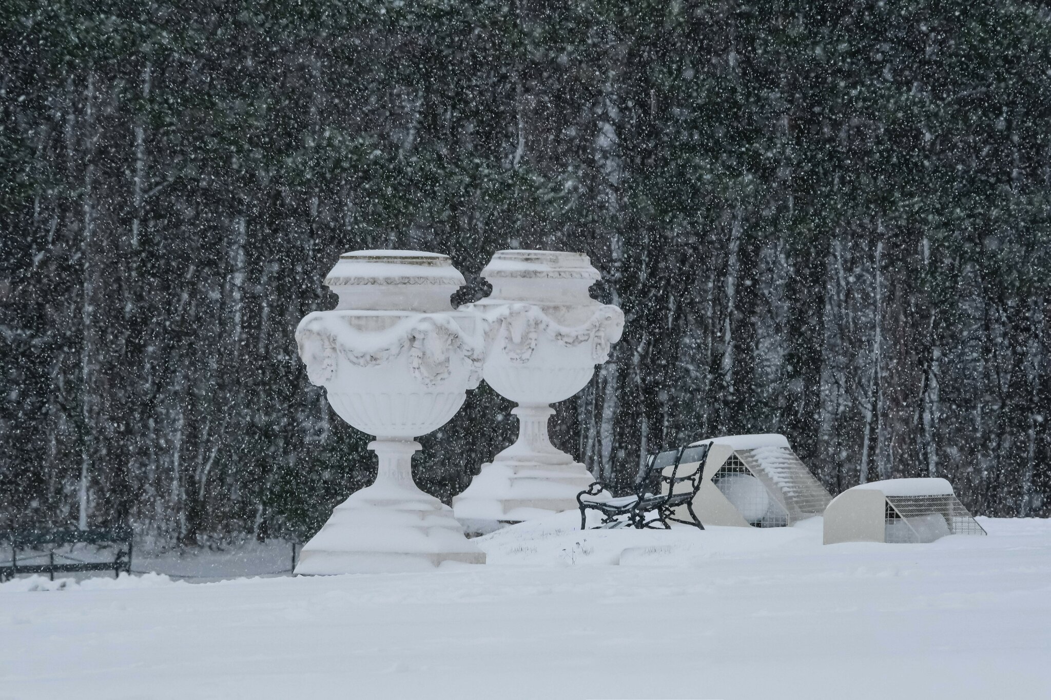 Schnee in Schönbrunn: Leise rieselt der Schnee in Schönbrunn - Liesing