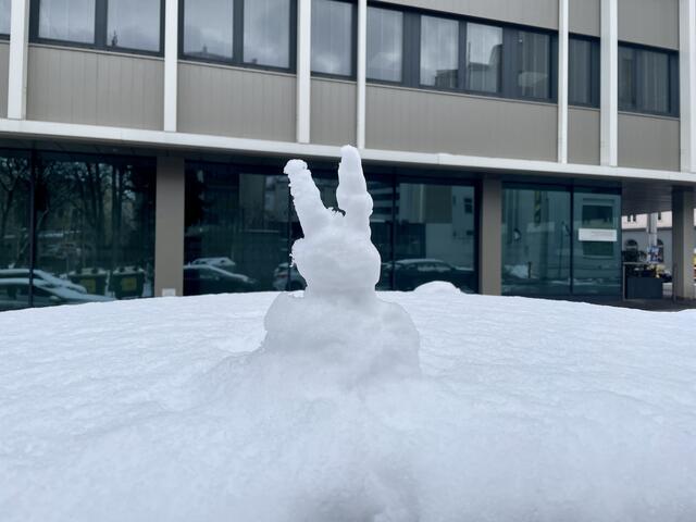 Ein Schneehase stattete Margareten einen Besuch ab. | Foto: Barbara Schuster/RMW