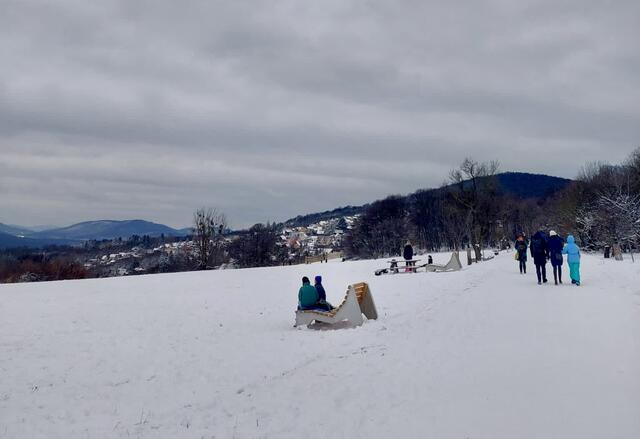 Viele Wienerinnen und Wiener haben das winterliche Wetter für einen Spaziergang im Schnee genutzt. | Foto: Antonio Šećerović/RMW
