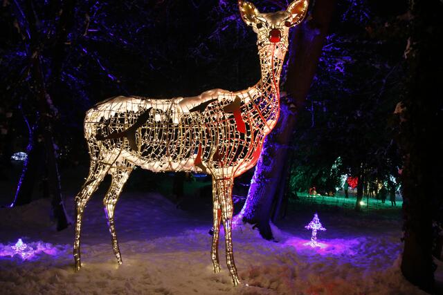 Foto: Lichterpark Lumagica in Wien Penzing Foto@Nicole Kawan
