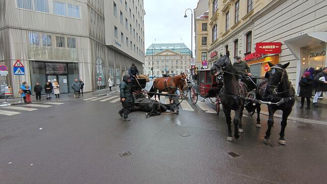 Erneut kam es zu einem Unfall im Zusammenhang mit einem Fiaker in der Innenstadt, bei dem ein Pferd auf dem glatten Asphalt zu Sturz kam. | Foto: privat