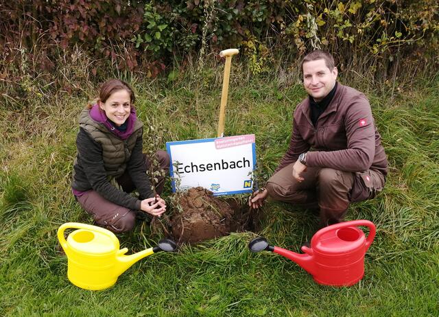 NÖ, Land der Bäume EU und "Natur im Garten" machen aus BlauGelb eine