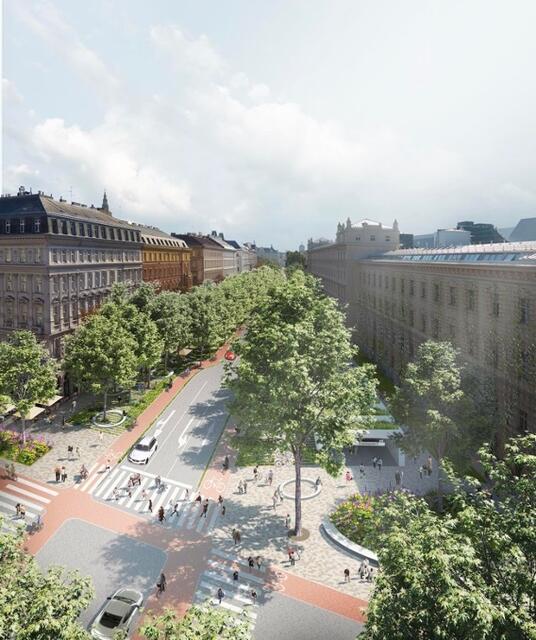 358 neue Bäume könnten gepflanzt werden. | Foto: bauchplan