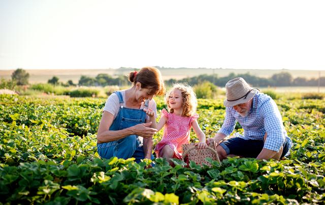 Green Care: Durch solche Angebote haben betreuungsbedürftige Menschen die Möglichkeit, sich am Hof einzubringen. | Foto: Ground Picture/Shutterstock.com