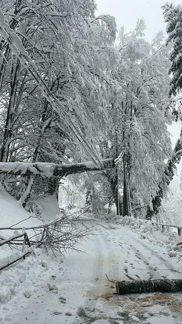 Foto: FF Leutschach/Waltl