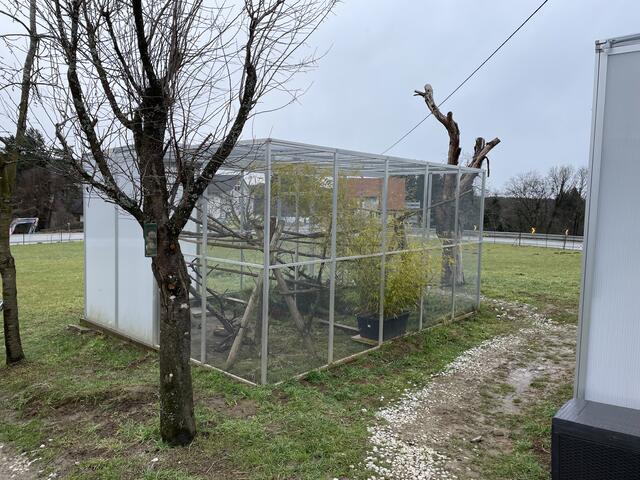 Am neuen Standort werden bereits die Neuzugänge versorgt. | Foto: MeinBezirk.at