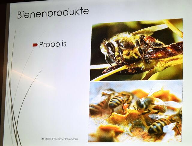 Bildmaterial für einen erhöhten Prxisbezug.  | Foto: Imkerschule Tirol