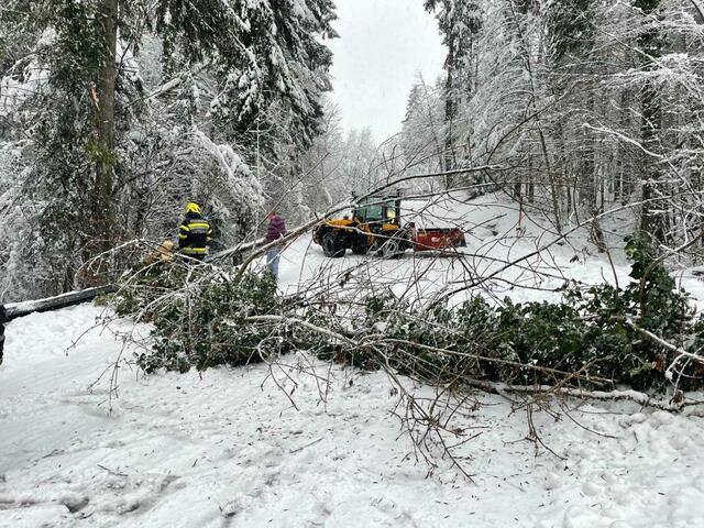 Foto: FF Leutschach/Waltl