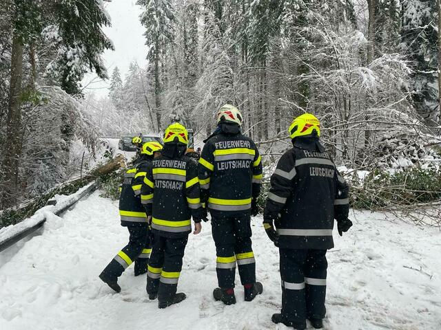 Die FF Leutschach stand in den letzten Tagen im Dauereinsatz. | Foto: FF Leutschach/Waltl