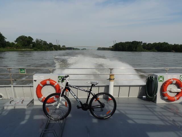 Auf dem Twin City Liner kann auch das Rad mitgenommen. | Foto: Julia Mang