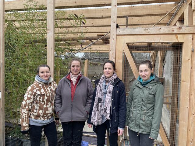 Das Kernteam des Vereins besteht aus Daniela Thanner, Monika Grossmann, Ulrike Odreitz und Anna Gmeiner (v.l.). | Foto: MeinBezirk.at