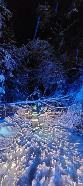 Foto: FF Leutschach/Waltl