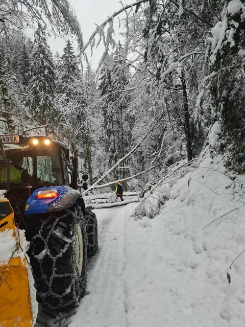 Foto: FF Gressenberg