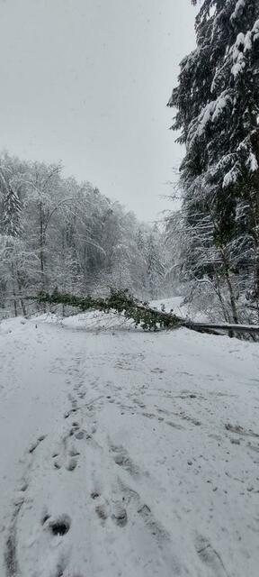 Foto: FF Leutschach/Waltl