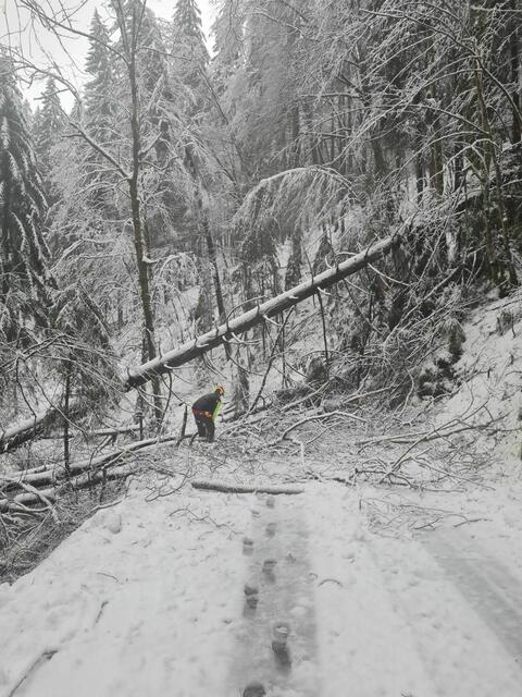 Foto: FF Gressenberg