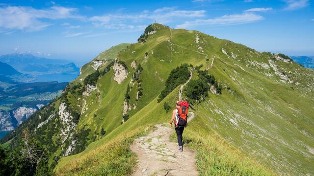 Bergwandern tut Körper und Geist gut. | Foto: Ante Hamersmit/Shutterstock.com