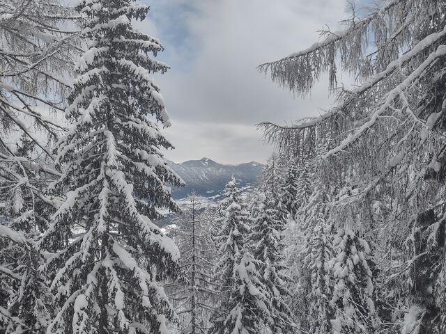 Foto: Beatrix Anawender