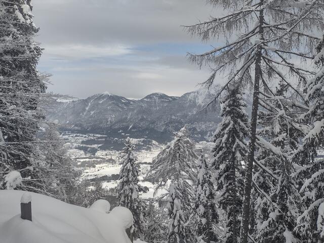 Foto: Beatrix Anawender