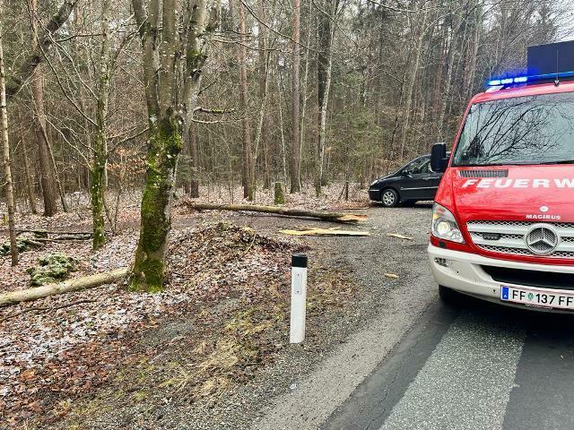 Foto: FF Großhartmannsdorf