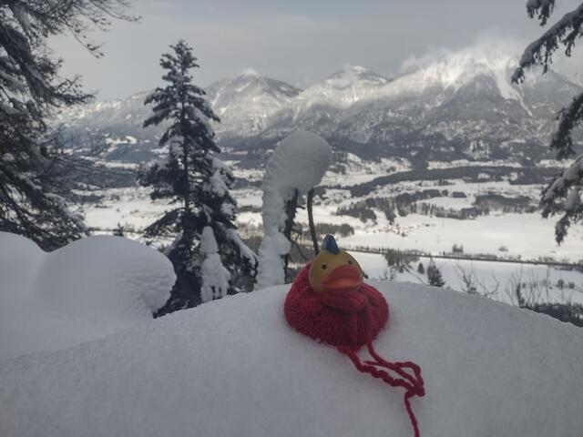 Foto: Beatrix Anawender