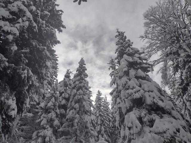 Foto: Beatrix Anawender