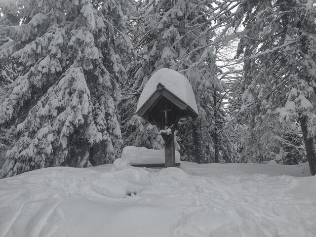 Foto: Beatrix Anawender