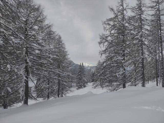 Foto: Beatrix Anawender