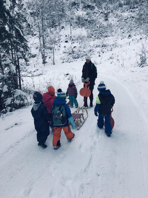 Die Waldameisen machen eine Erkundungstour | Foto: Anna Stöger