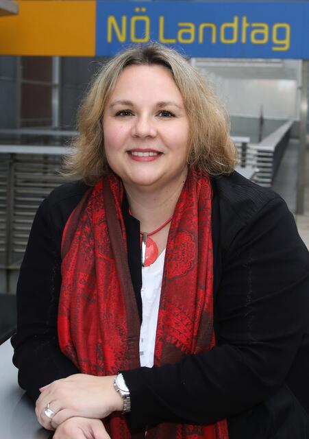 Wahlkreis- Spitzenkandidat St. Pölten/St. Pölten - Land Kathrin Schindele (SPÖ) | Foto: Foto: Schindele