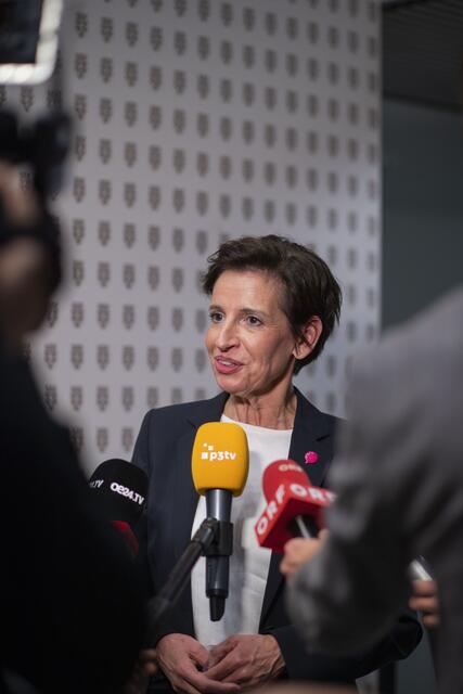 Foto: RegionalMedien Niederösterreich/Daniela Matejschek