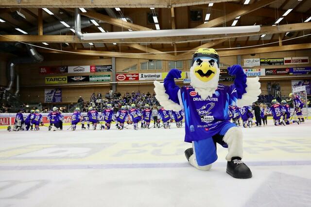 Neben den Fanclubs und den Fans in der Halle ist es vor allem "Villi", der seine "Adler" zu Höchstleistungen anspornt. | Foto: EC iDW Wärmepumpen VSV