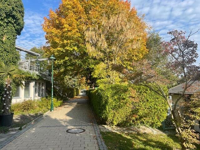 Hier die Stelle an der Promenade, wo die “Seufzerbrücke” über den Lagunenabfluss führen soll. | Foto: Grüne Pörtschach