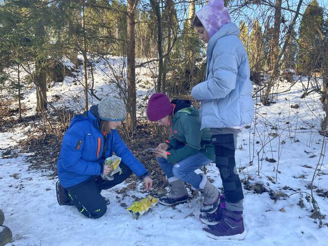 Miriam, Lorena und Daniela aus der Klasse 3a der Praxismittelschule wollen ihre Umwelt sauber halten. | Foto: Martina Obertimpfler