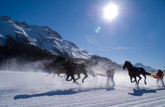 Schijöring ist ein actiongeladener Sport.  | Foto: J.H.Werner