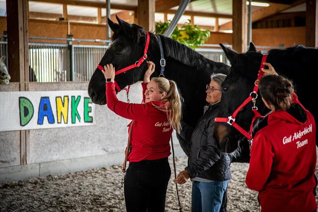 Waldez und Prometheus genießen jetzt ihren Lebensabend auf Gut Aiderbichl. | Foto: Gut Aiderbichl