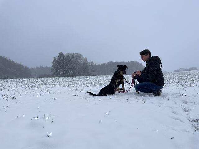Hunde reagieren "wertfrei", sagt Tanja Gratzer. | Foto: Anna-Katharina Wintersteller