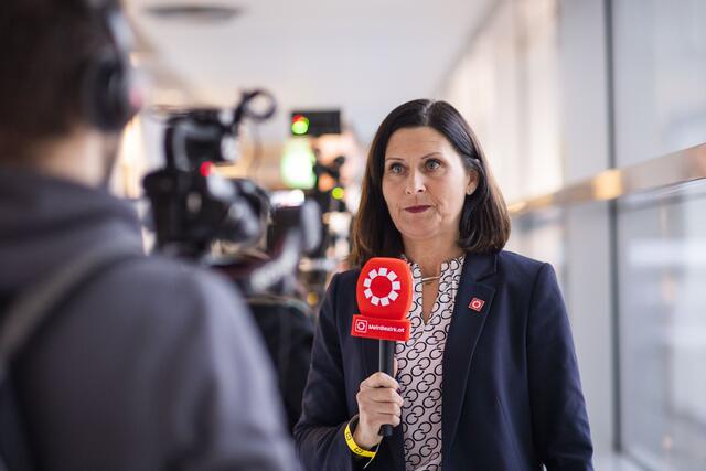 Foto: RegionalMedien Niederösterreich/Daniela Matejschek