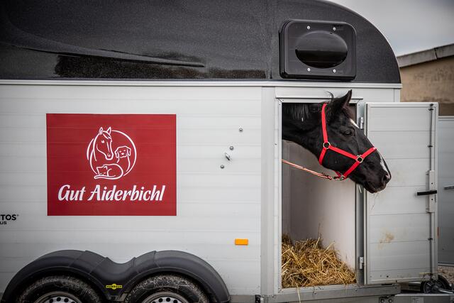 Foto: Gut Aiderbichl