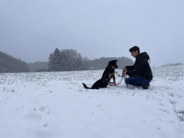 Tanja Gratzer hat sich 2023 mit "Persönlichkeitsentwicklung mit Hund" selbstständig gemacht. Mit dabei: ihre Co-Trainer Charly und Lotte.  | Foto: Anna Wintersteller
