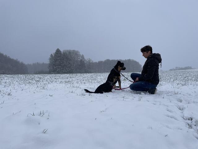 Tanja Gratzer mit ihren Hunden | Foto: Anna Wintersteller