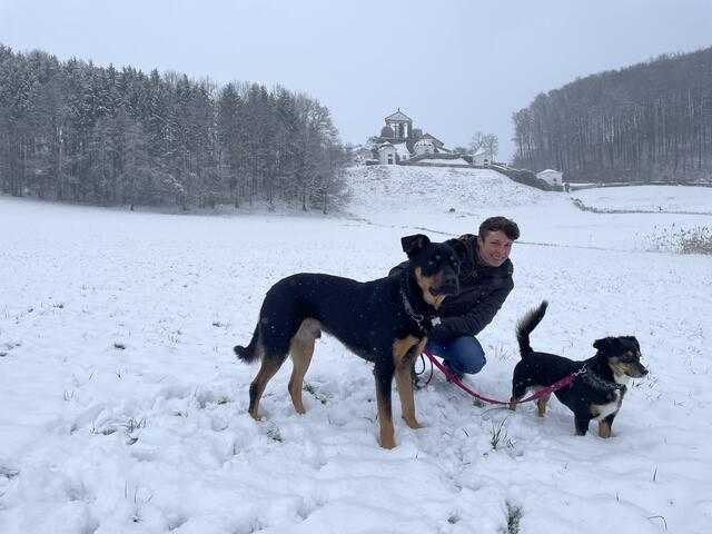 Die Hunde Charly (links) und Lotte  (rechts) sind hauptberufliche "Co-Trainer".  | Foto: Anna Wintersteller