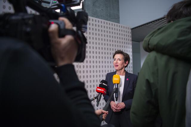 Foto: RegionalMedien Niederösterreich/Daniela Matejschek